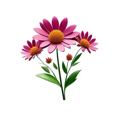 image flower