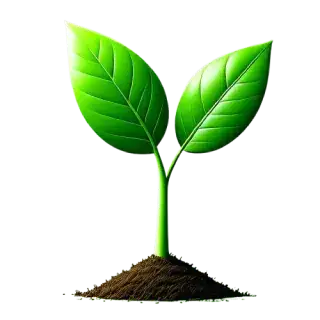 image plant